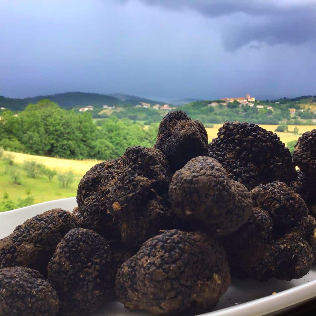 Caccia al tartufo. Buono, sano e sostenibile