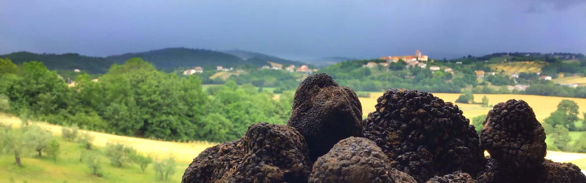 Caccia al tartufo. Buono, sano e sostenibile