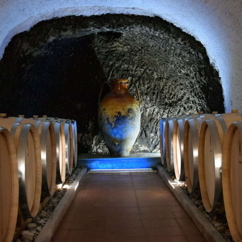 Elena Fucci: “Discovery” tasting