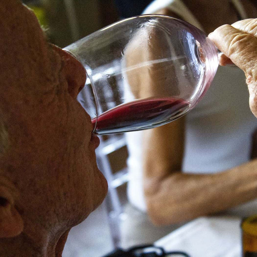 Elena Fucci: “Discovery” tasting