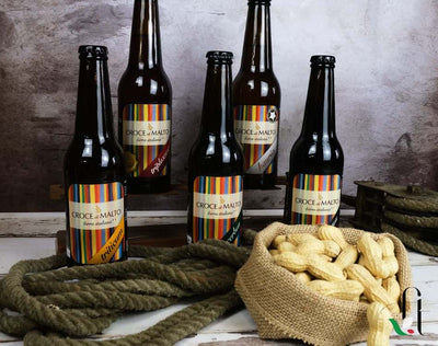Birra: storia, ingredienti, stili, valori nutrizionali e abbinamenti