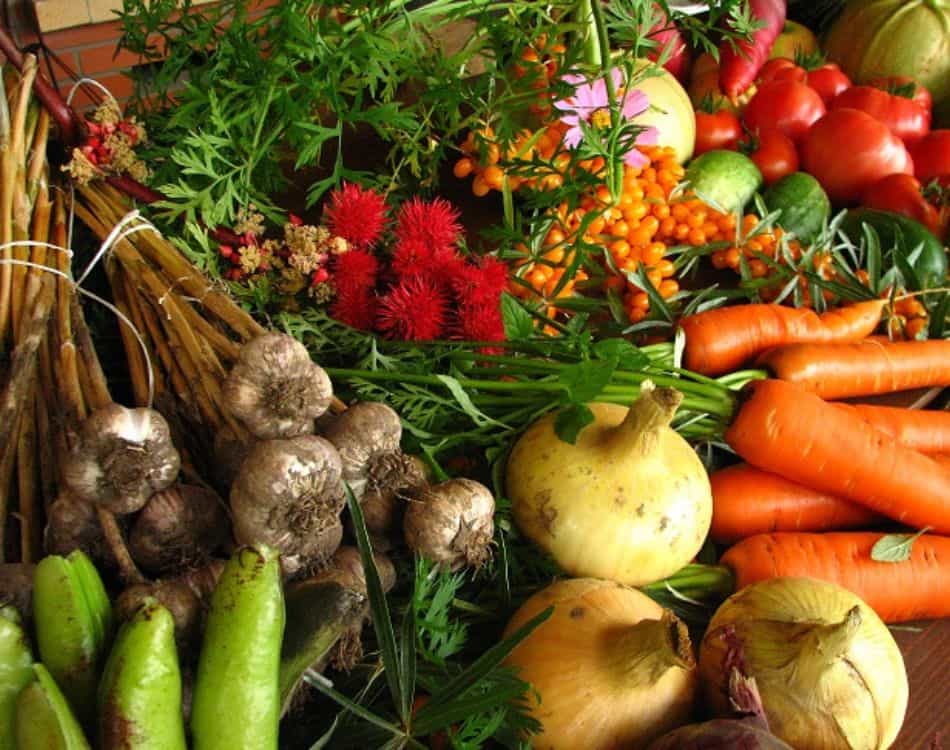 Presidi Slow Food: Salvaguardare la Biodiversità attraverso il Cibo Bu ...