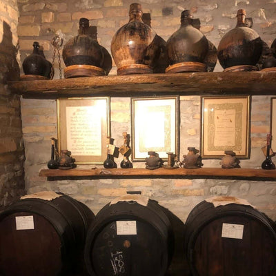 Balsamic Vinegar of Modena PDO and PGI: what are the differences?