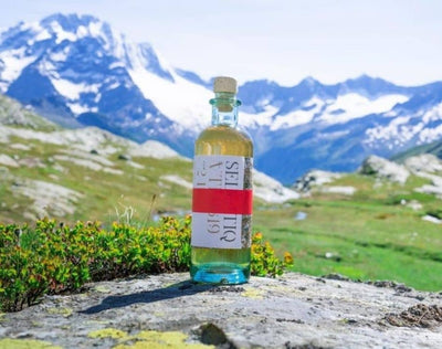 What are nomadic GINs? 