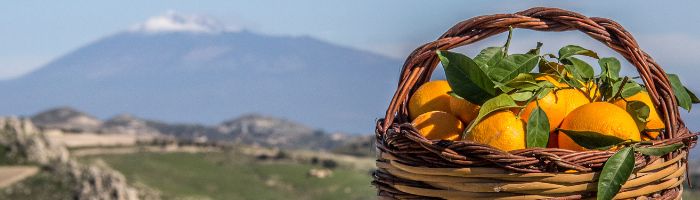 Agrumi e avocado naturali dalla Sicilia