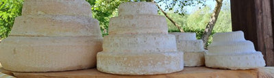 Caseificio Terre del Giarolo Formaggio Montébore Presidio Slow Food vendita online finetaste.it