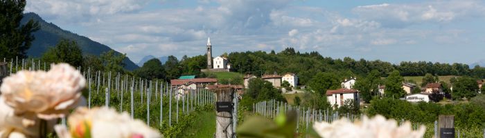 Cantina Pian delle Vette, vendita online a prezzi competitivi vini delle dolomiti su www.finetaste.it