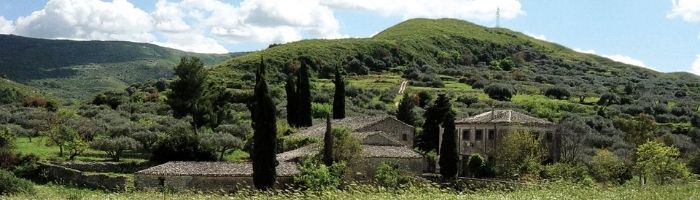 Vernèra: Olio da cinque generazioni, olio per amore.