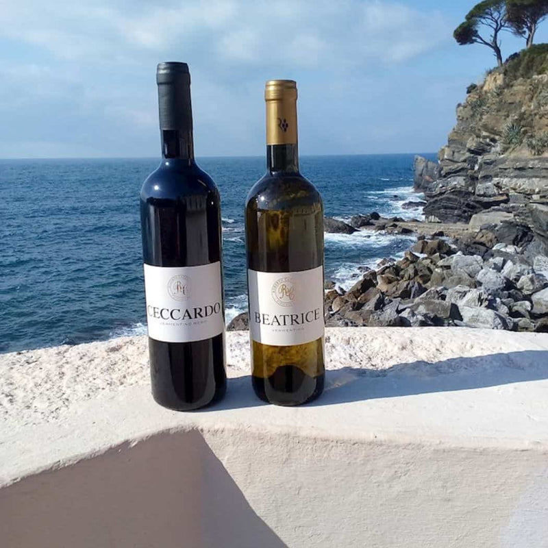 Castagnini – Ceccardo Vermentino Nero 2021 vendita online a prezzi competitivi su www.finetaste.it
