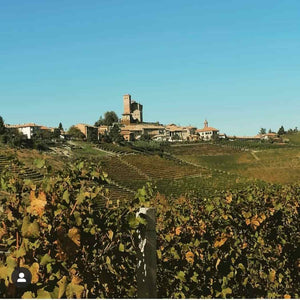 Carlo Revello & Figli, i grandi rossi piemontesi in vendita su finetaste.it