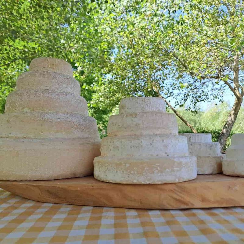 Formaggio "Montébore" – 600/850 gr vendita online a prezzi competitivi su www.finetaste.it