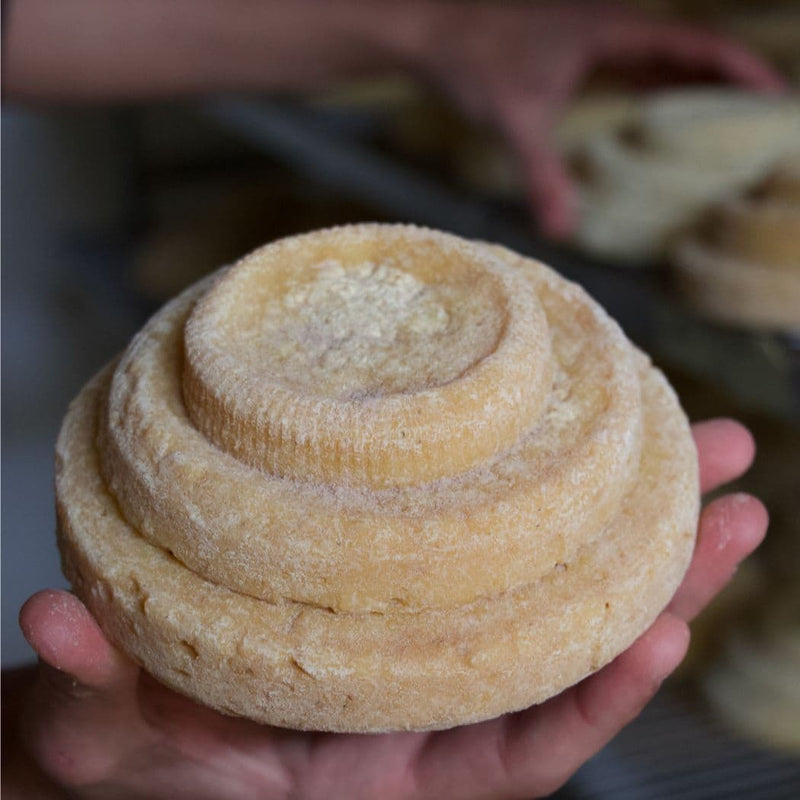 Formaggio "Montébore ’99 Vintage” 600/750 gr vendita online a prezzi competitivi su www.finetaste.it