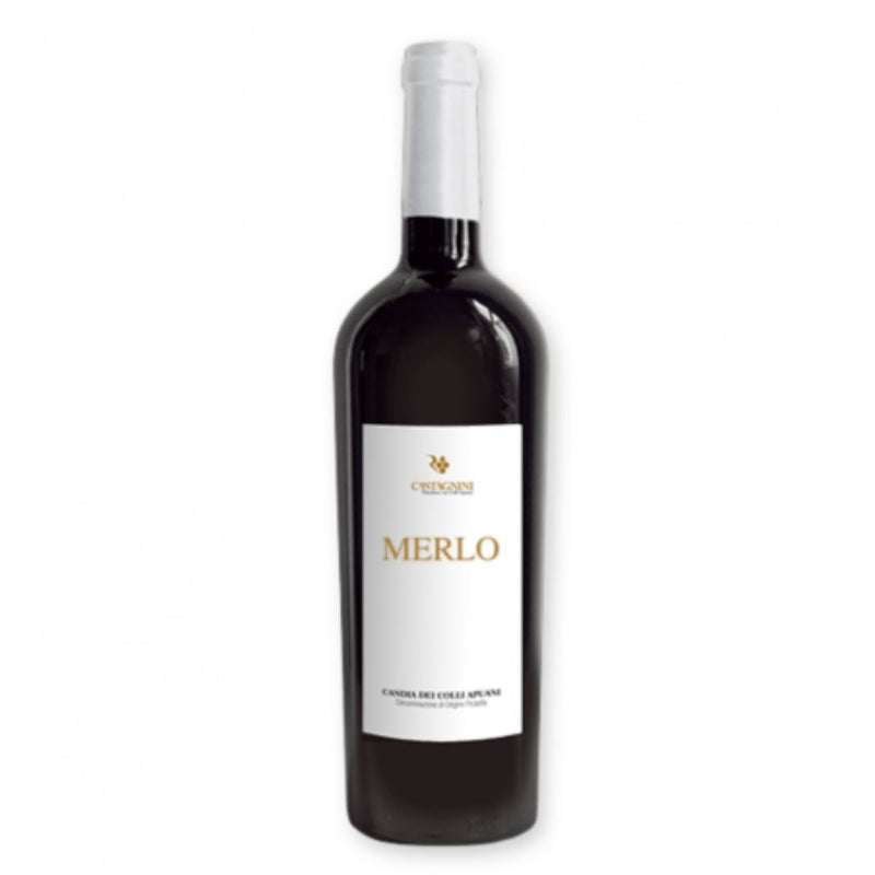 Castagnini – Merlo Candia dei Colli Apuani 2022 vendita online a prezzi competitivi su www.finetaste.it