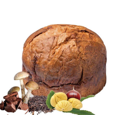 Angelo Grippa – Panalburni con chiodini canditi, marron glacé e cioccolato vendita online a prezzi competitivi su www.finetaste.it