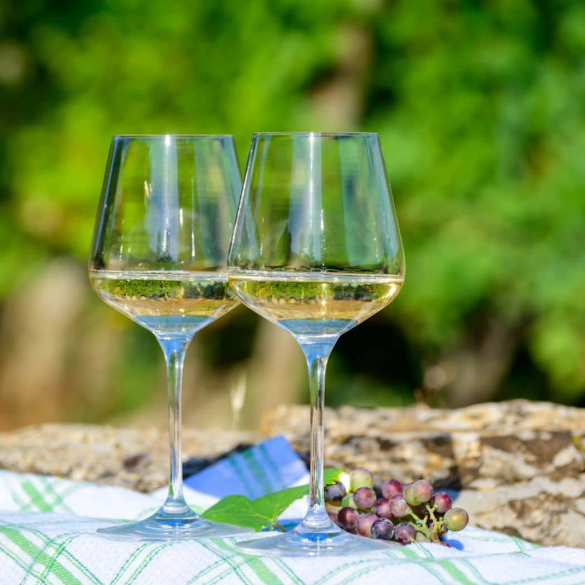 Degustazione di vini di qualita' solo su www.finetaste.it