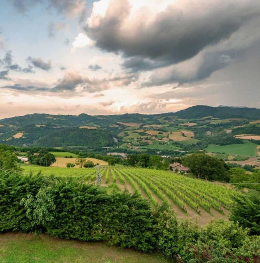 Castello Montesasso degustazione vini Romagna vendita su finetaste.it