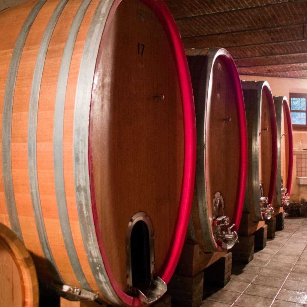 Tenuta Le Piane: visita delle cantine e degustazione vini