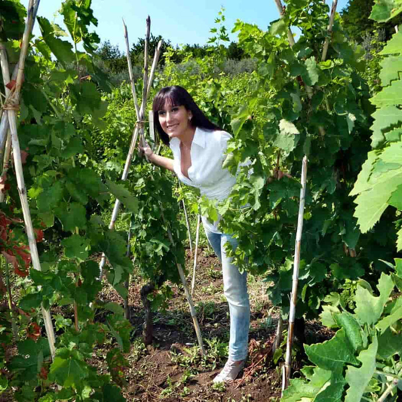 Elena Fucci – Titolo Superiore Aglianico del Vulture DOCG Superiore 2019 vendita online a prezzi competitivi su www.finetaste.it