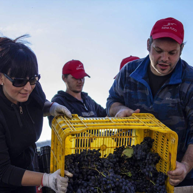 Elena Fucci – Titolo Riserva Aglianico del Vulture DOCG Sup. Ris. 2018 vendita online su www.finetaste.it