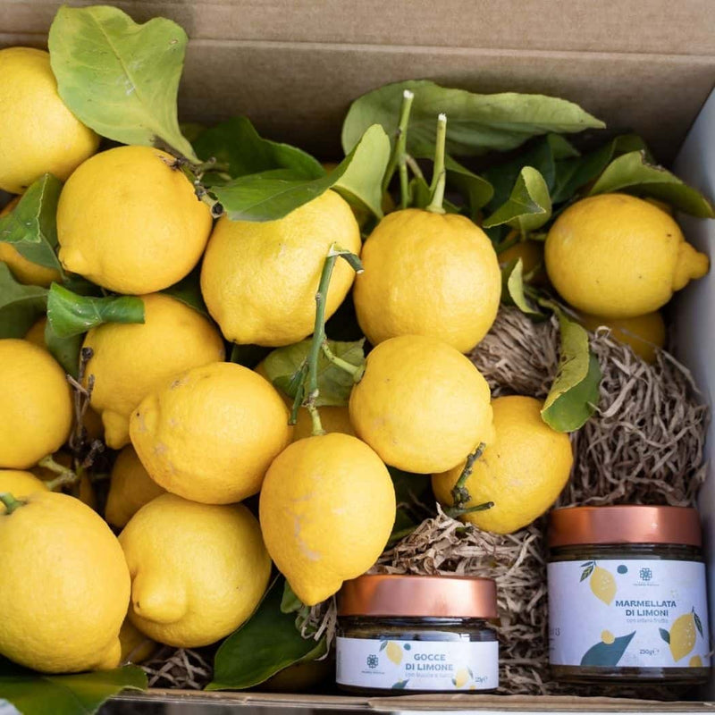 LemonBox Special limoni naturali Gocce di Limone composta e Marmellata di Limone vendita online a prezzi competitivi su www.finetaste.it