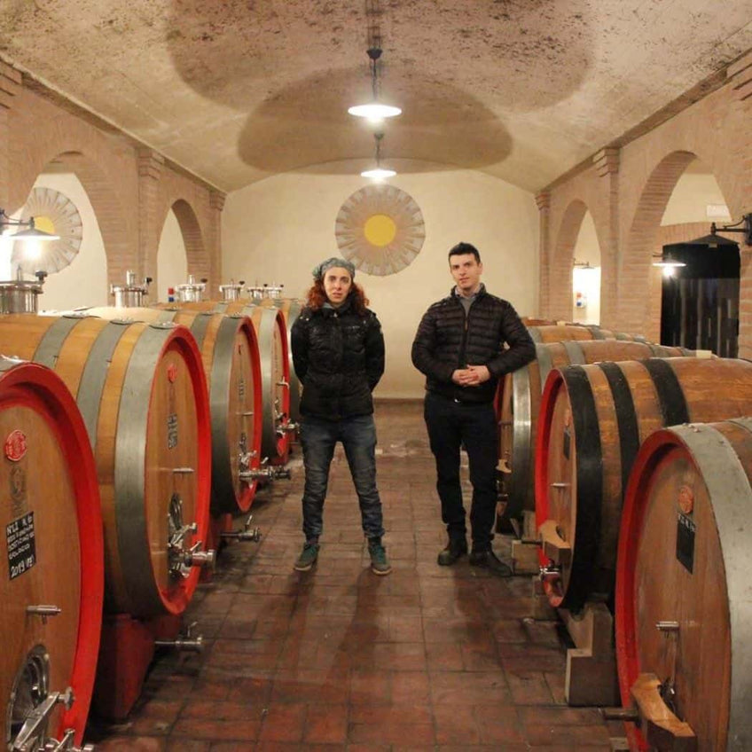 Noventa winery: vineyard visit and organic wine tasting