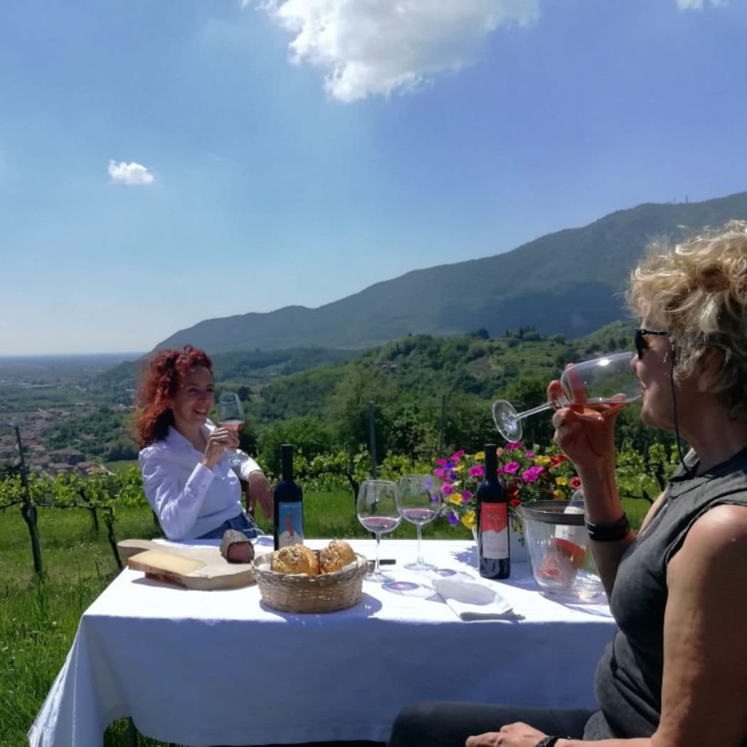 Noventa winery: vineyard visit and organic wine tasting