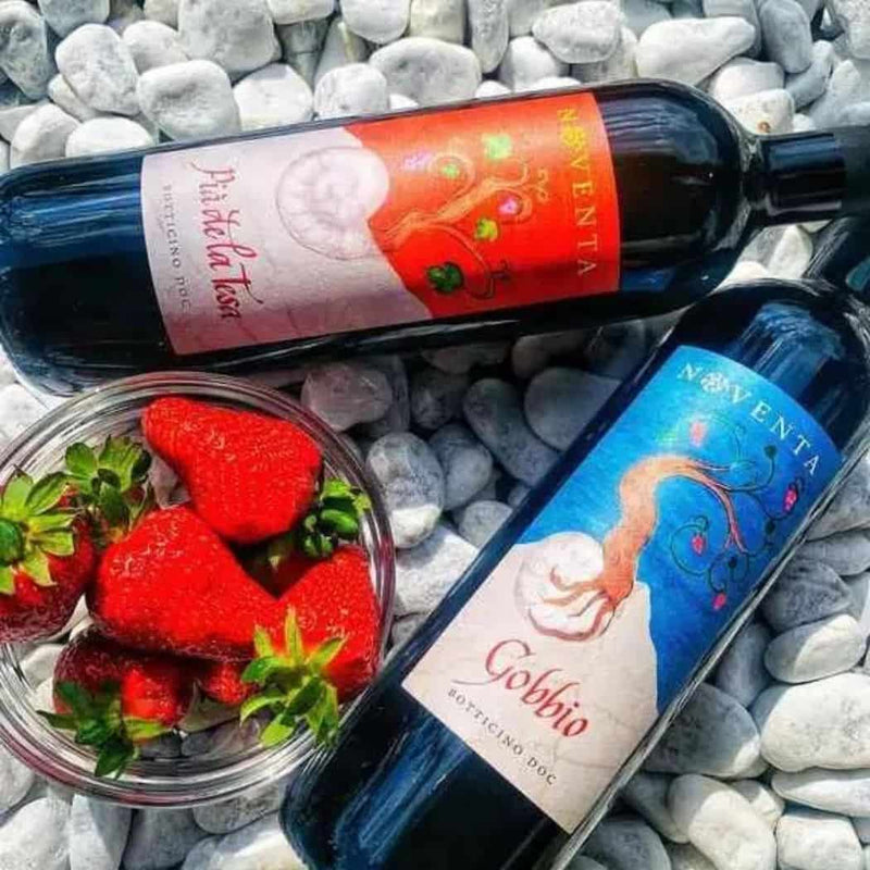 Noventa Botticino Gobbio 2018 biologico grande vino rosso artigianale vendita online su www.finetaste.it
