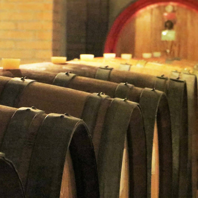 Noventa Colle degli ulivi 2018 vino biologico artigianale vendita online su www.finetaste.it