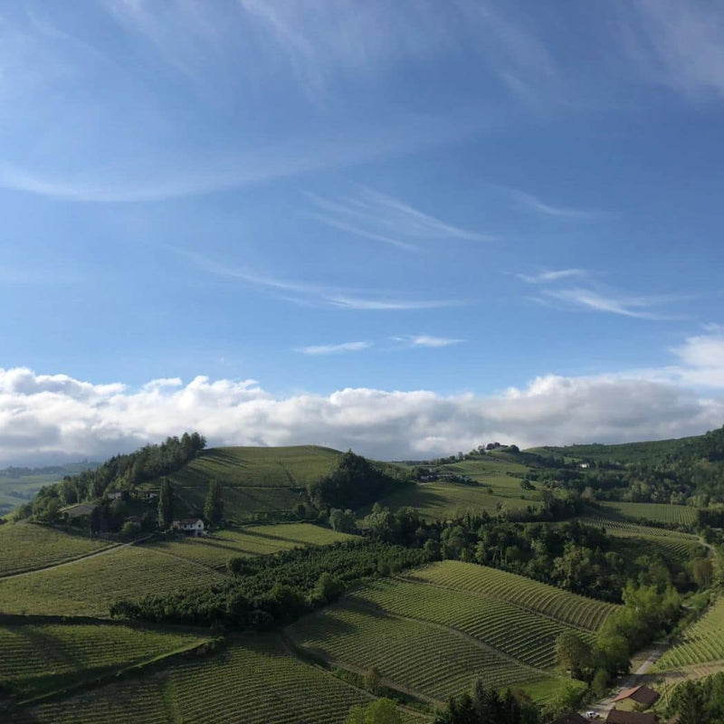 Rosanna Sandri – Stella Dorata Langhe Doc Arneis 2021 vendita online a prezzi competitivi su www.finetaste.it
