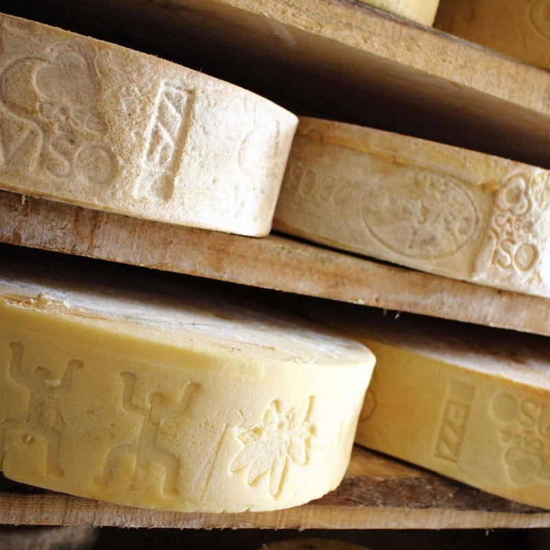 Silter formaggio biologico d&